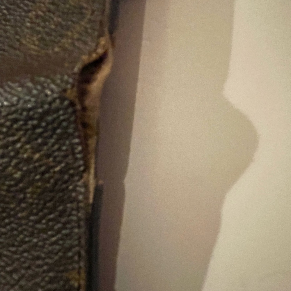 Lv Monogram Wallet - image 6